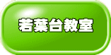 t䋳