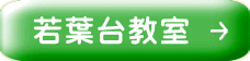 t䋳